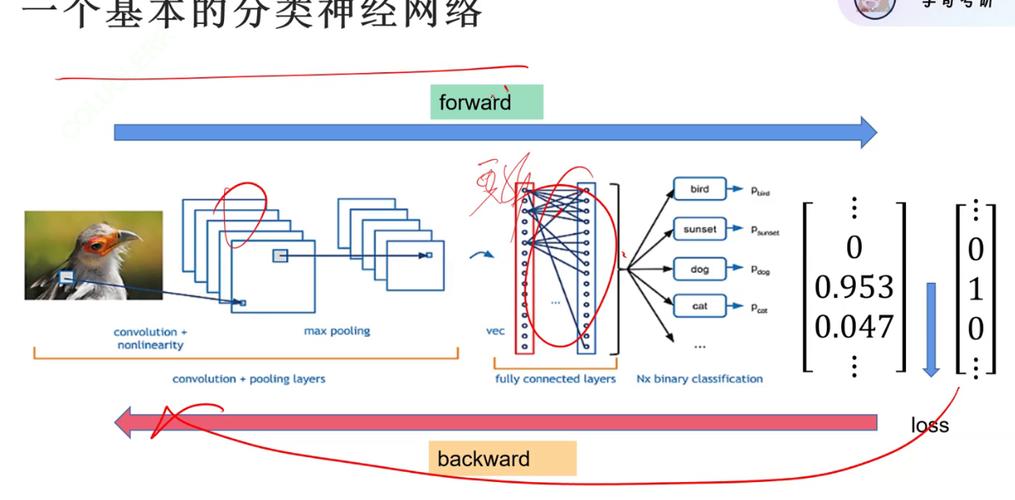 Tensorflow实战中，如何应用经典卷积神经网络解决实际问题？