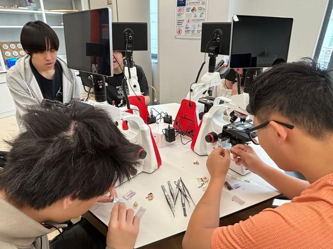 云东海5G科技园举办的SEO培训营有哪些特色课程？