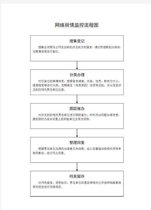 如何详细描述舆情监控的每一个具体步骤？