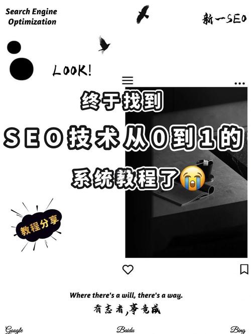 如何从零基础自学SEO运营，一步步达到精通水平？