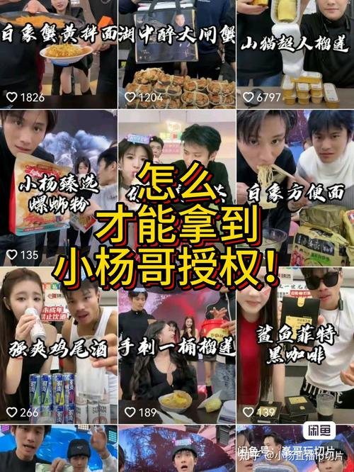 主播IP切片限时免费开放，如何快速获取授权通道？