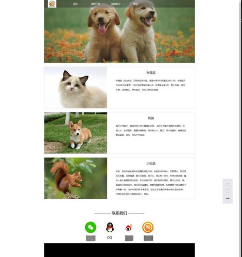 如何挑选既实用美观又响应迅速、操作简便的宠物网站模板呢？