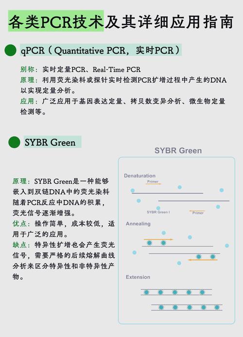 如何通过SimpleITK高效读取及存储NIfTI/DICOM格式的医学影像文件？