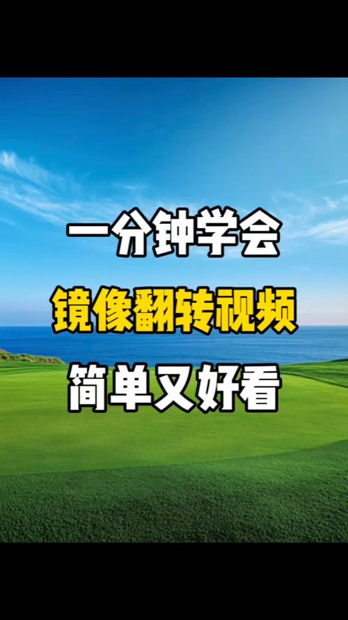 如何选择优秀的视频镜像翻转软件实现视频镜像效果？