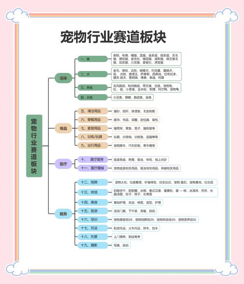 如何在细分赛道中掘金，打造意大利宠物玩具独立站的？