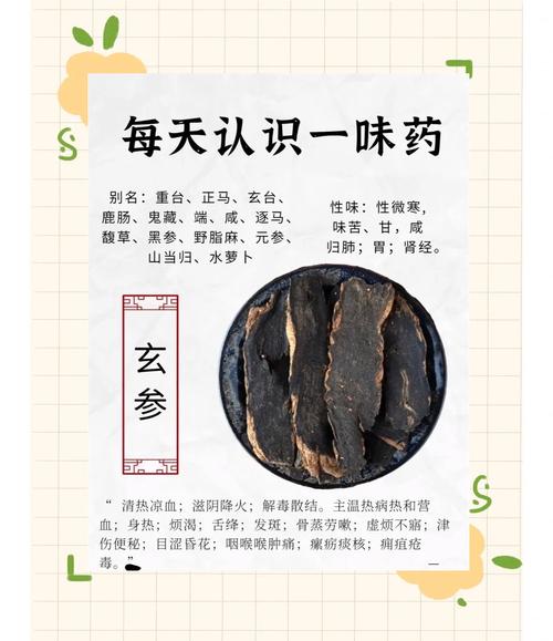 渝北网站建设深度解析，玄参拼音是什么意思？