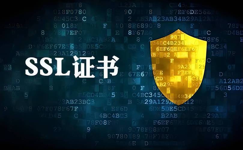 如何快速获取域名注册证书所需资料清单？