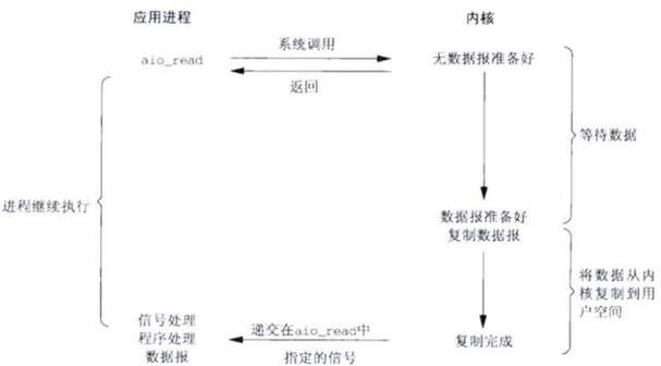 如何通过面试文章全面了解I/O多路复用与异步I/O的发展历程？