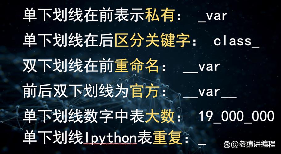 Python中下划线符号有哪些特殊用途？