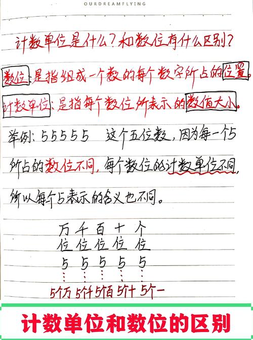 单位数与项目数在本质上有何根本差异？