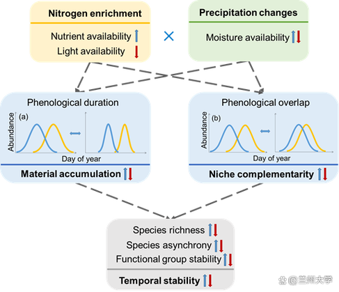 环境变量是什么？它对程序运行有什么影响？