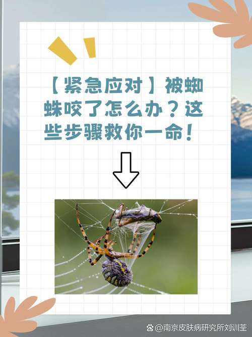 如何有效应对网站被蜘蛛频繁爬行的问题？