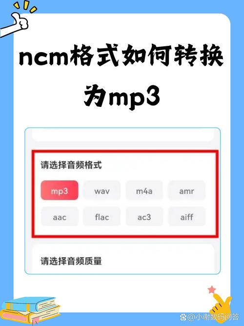 ncm视频格式是怎样的？