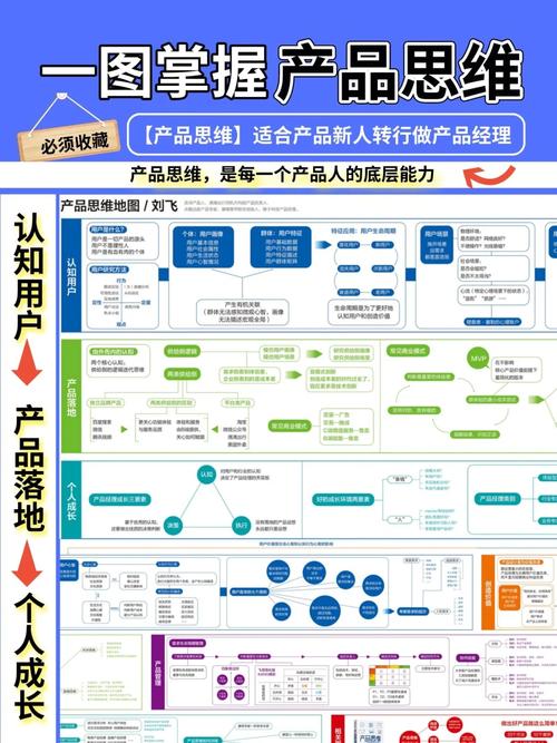 如何通过新品测款实现精准定位和快速迭代？