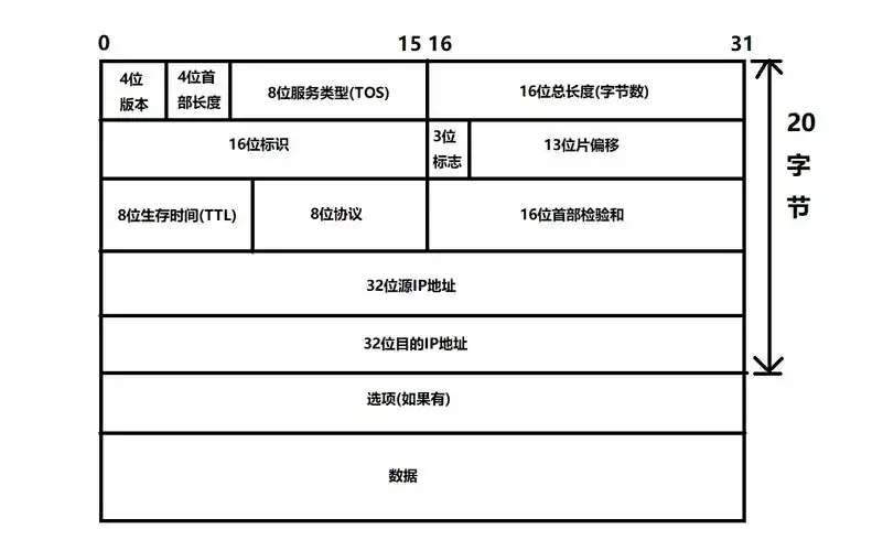 《ASCE1885》中IP数据报格式是怎样的？