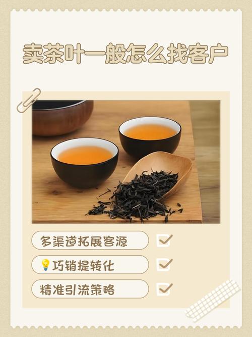 如何通过独立站降低30%营销成本，缩短60天上线周期，助力茶叶出海？