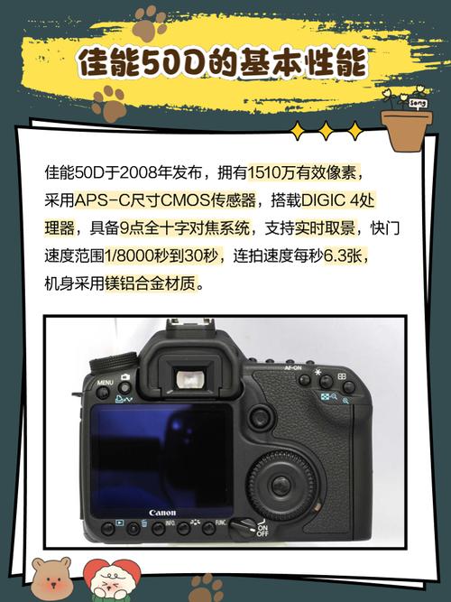 佳能50D相机整体表现如何，现在入手是否值得？