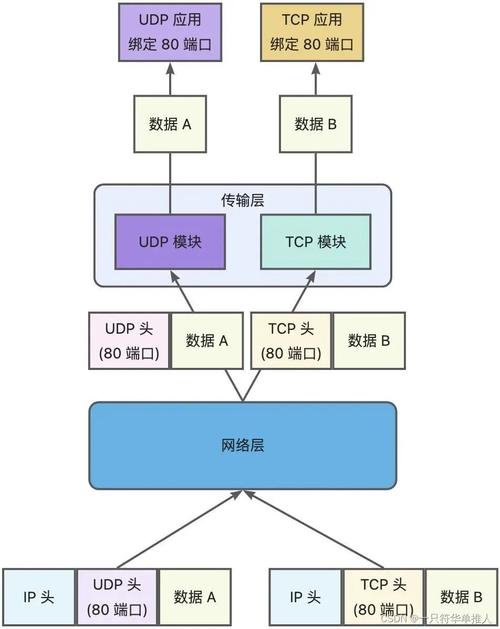 计算机网络TCP/UDP协议（一）中包含哪些关键概念和原理？
