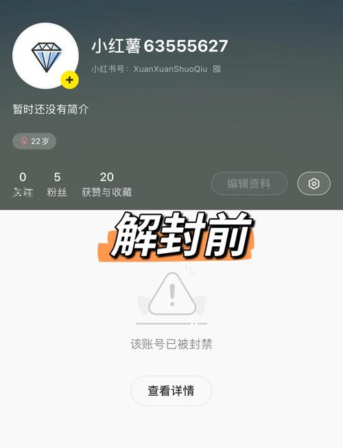 网站被降权后如何有效申诉以恢复权重？