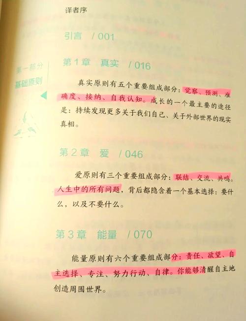 独立站从喧嚣到沉淀，生存与进化之路如何？