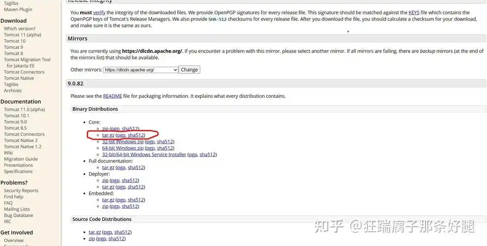 CentOS系统上配置Tomcat时遇到哪些常见问题可以快速定位并解决？