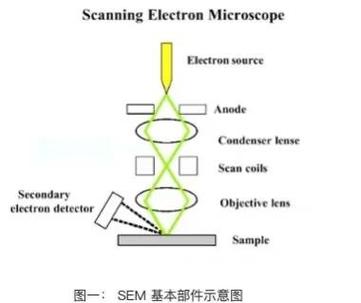 SEM表面形貌和成分分析的原理是什么？