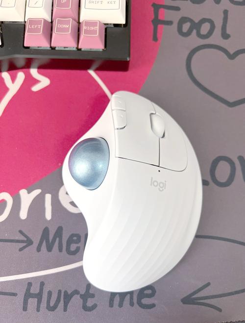 轨迹球鼠标是否适合我，性价比高不高，值得购买吗？