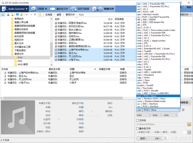 如何解读和分析WAV音频文件中的长尾词？