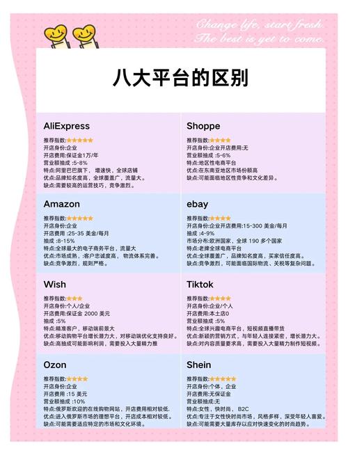 速卖通有哪些具体功能和服务，能详细解析一下跨境电商概览吗？