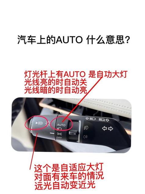 auto是什么意思，能否详细解释一下这个词汇的含义？