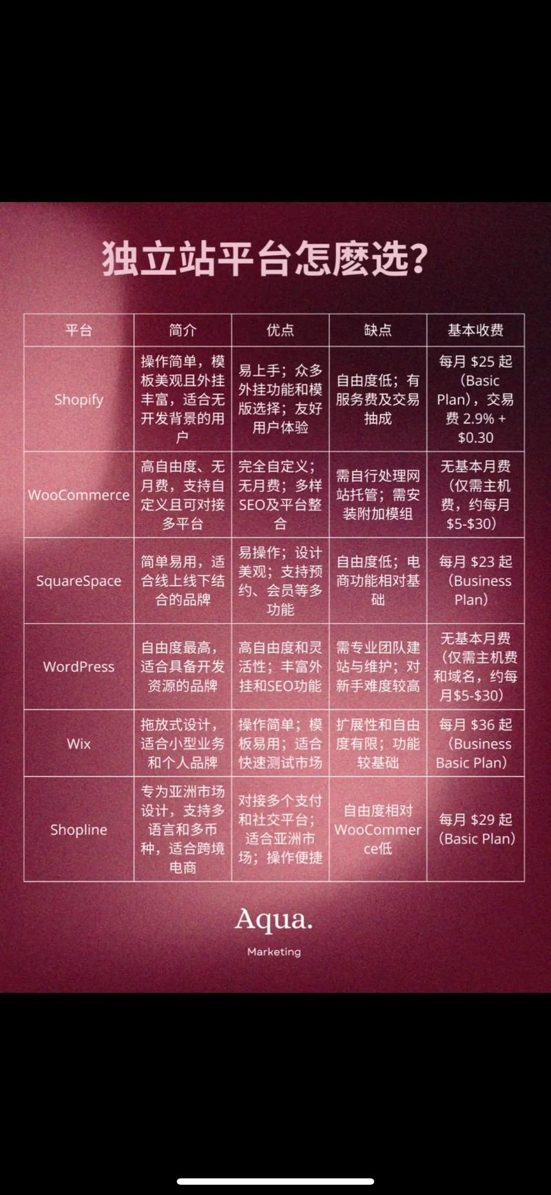 电商独立站平台优势与劣势及对策，实战策略有哪些？