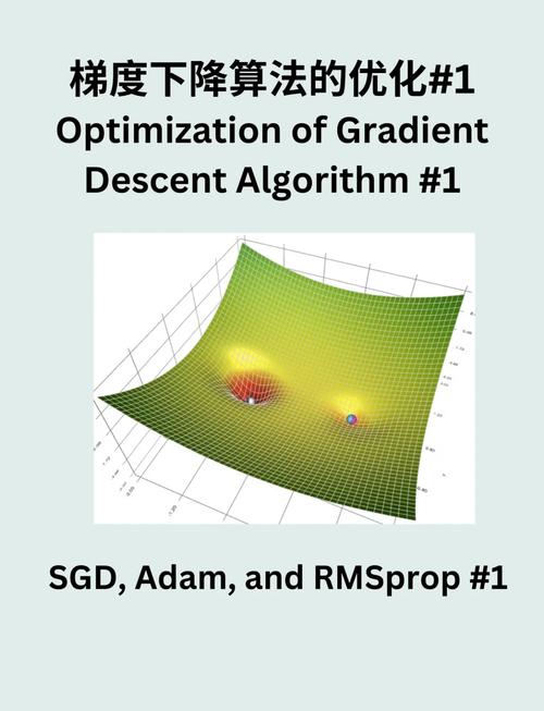 Python中的梯度下降算法如何实现长尾效应的优化？