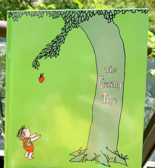 What is the botanical name for the maple tree?