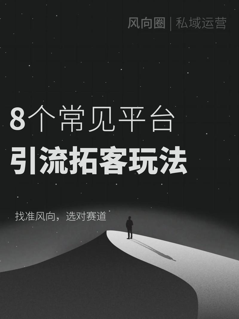 拓客引流软件与汽车起名网站建设，哪个平台更适合我的需求？