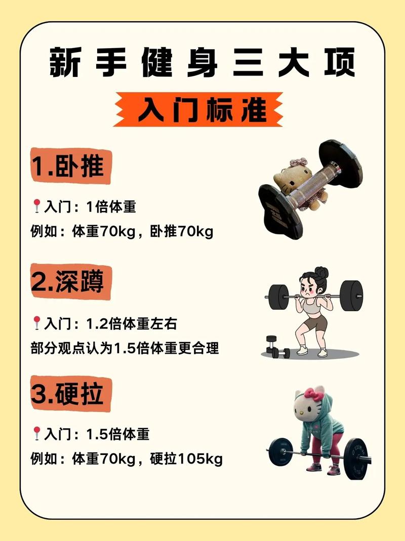这三个持重训练项目具体有哪些不同之处？