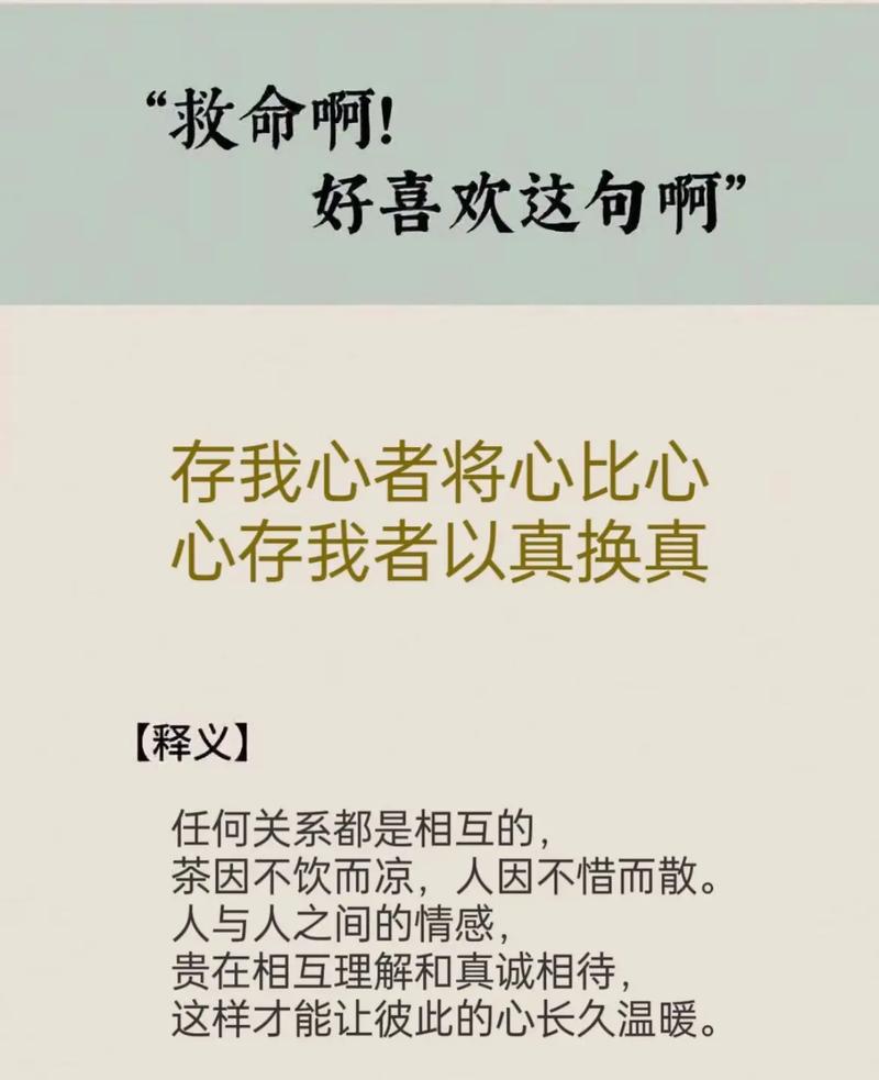 将心比心，你真的理解我的感受吗？