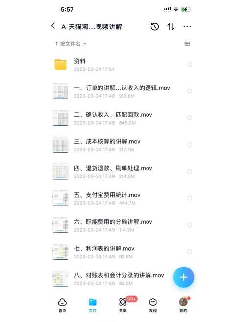 项目收入与供货收入在本质上有何根本性差异？