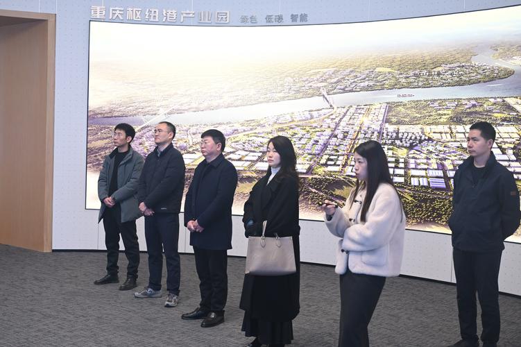 江津区专业性网站建设深度探讨，重庆市江津网实践与探索有哪些成功经验？
