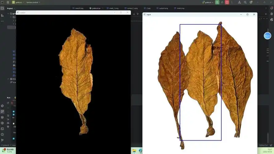 如何运用OpenCV的Grabcut算法进行复杂图像的精确分割？