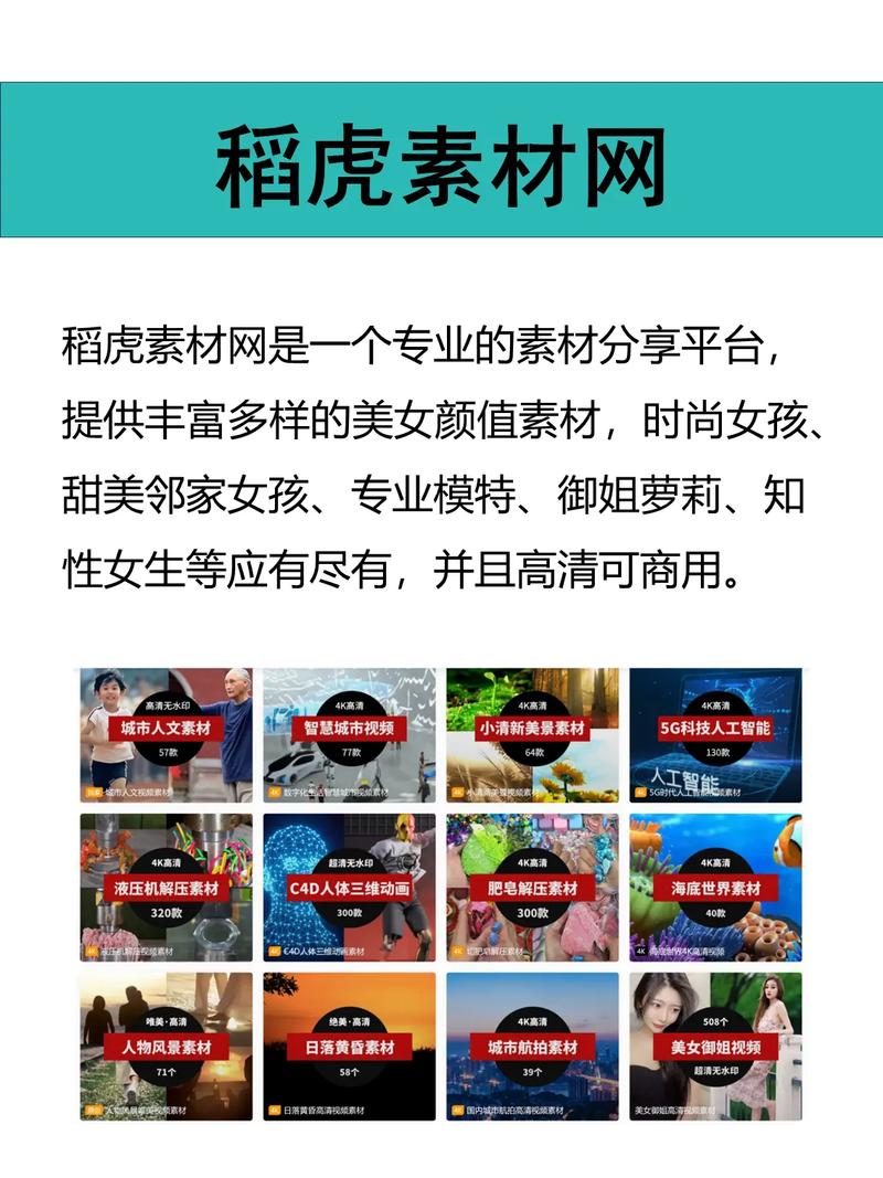 如何快速找到2万张高清美女图片的网站？