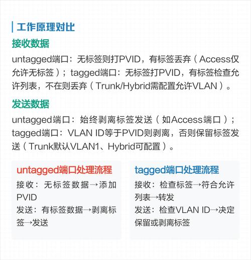 什么是tagged端口和untagged端口之间的主要区别？