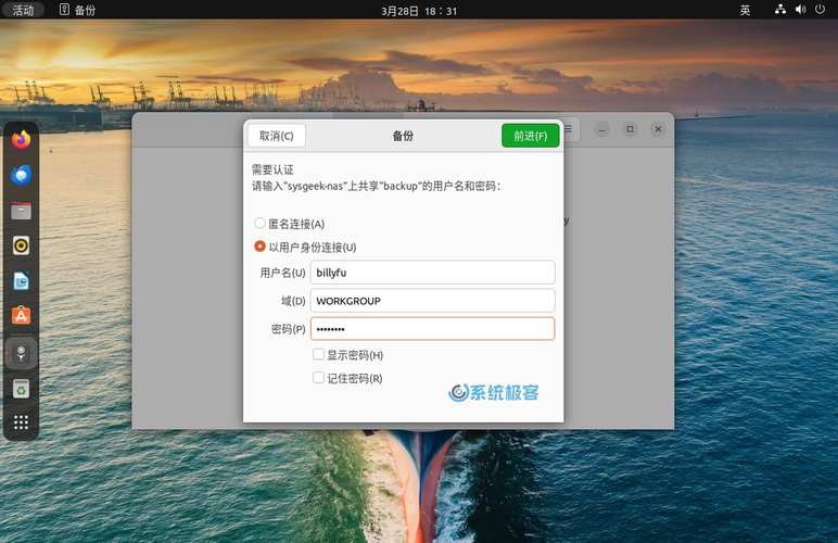 如何通过Ubuntu分卷实现高效数据管理及备份策略？