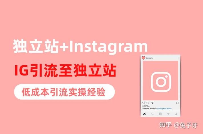 如何通过15天实操提升独立站自然流量获取效果？