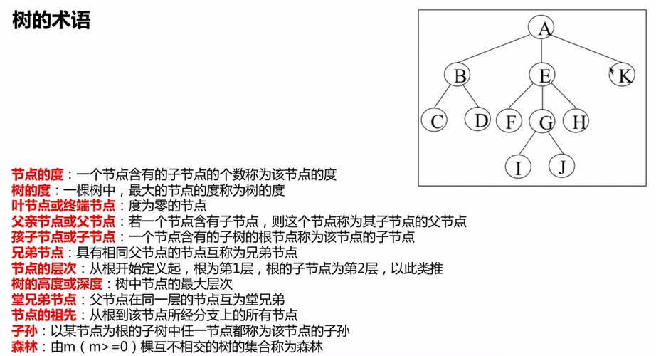 二叉树遍历的深度优先和广度优先搜索方法，哪种更高效？