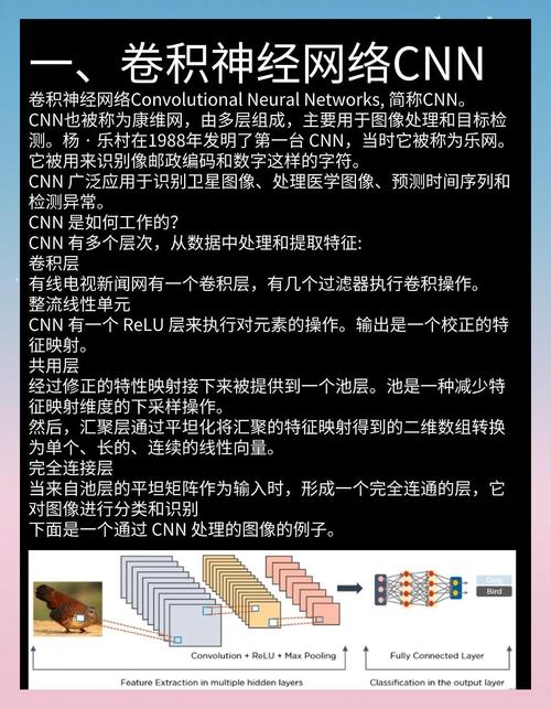 解码网络神经，能否瞬间抓取海量信息？