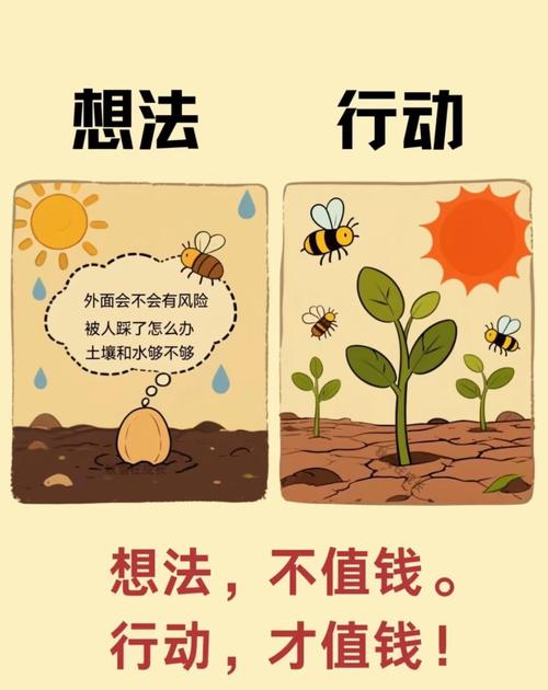 项目与行动之间有何根本差异？