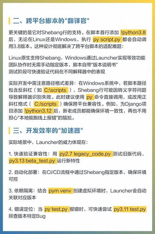 Python Launcher使用技巧与要点汇总有哪些？
