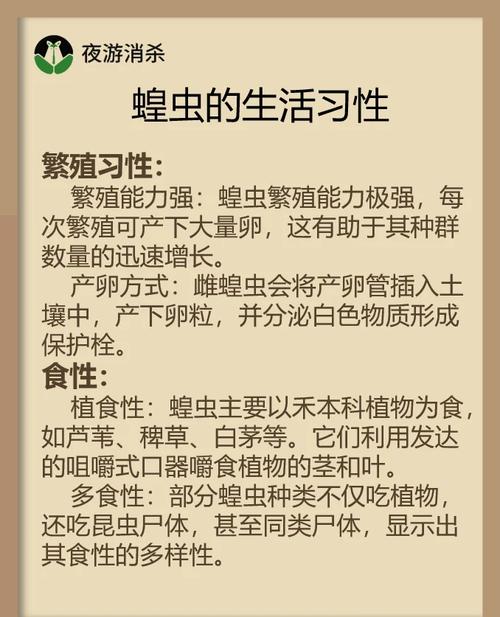 6000字《蝗虫入门指南》有哪些疑问解答？