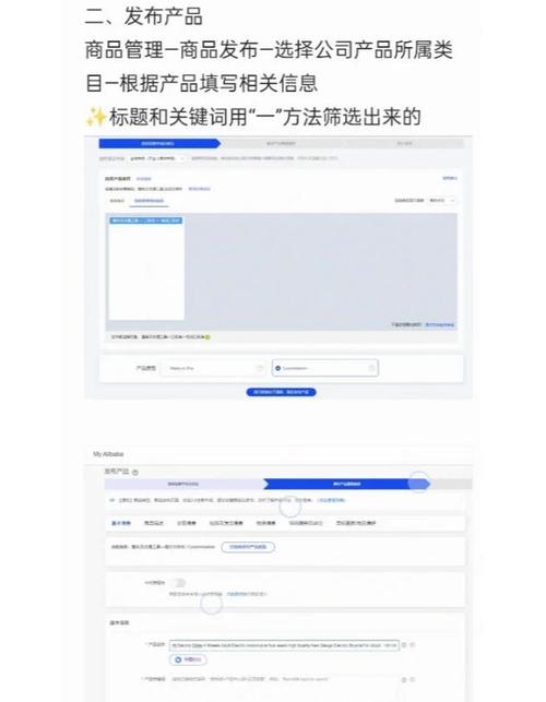 阿里巴巴独立站建站成本是多少？新手如何预算？与阿里平台成本对比？