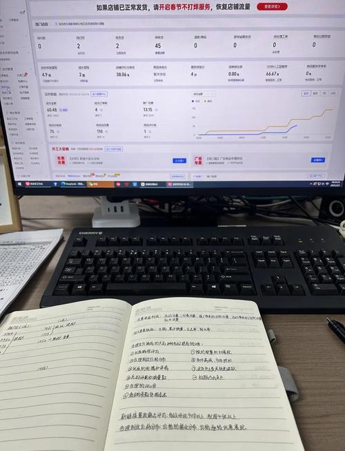 独立站新手小白的工作节奏是怎样的真实体验分享？